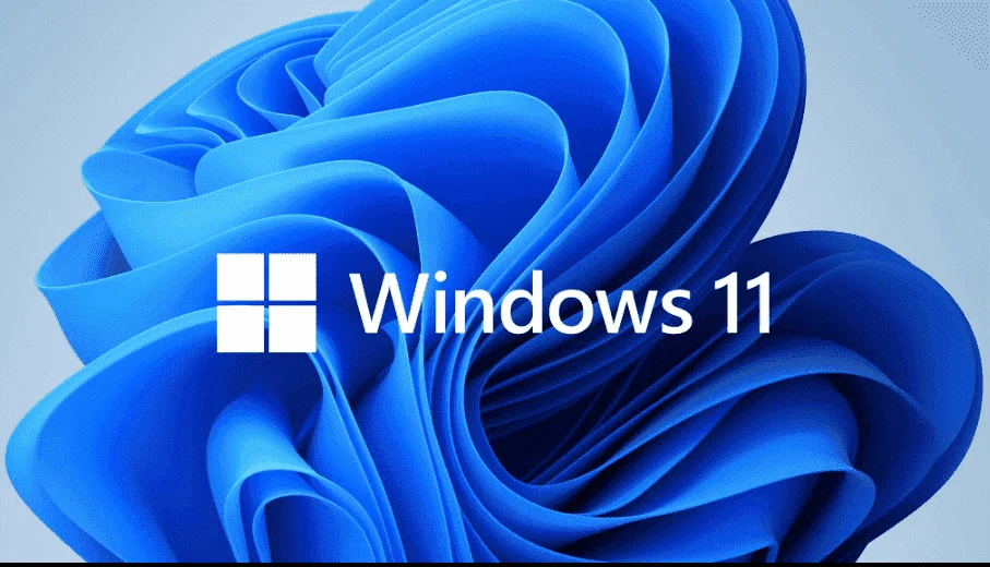 window.webp