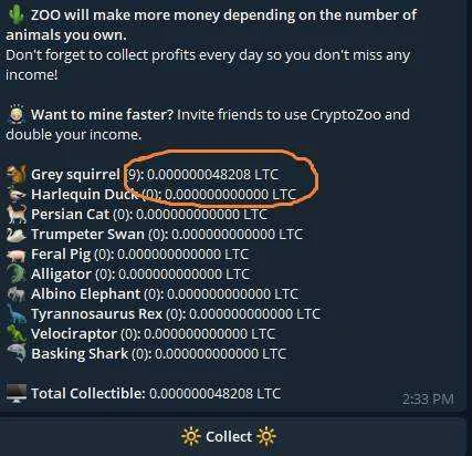 zoo.webp