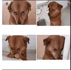 1640918382425.webp
