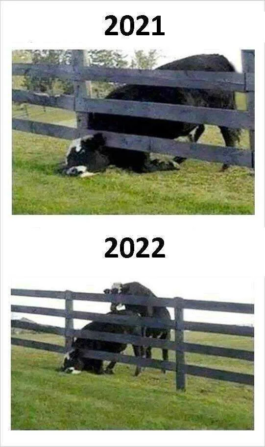 2021-2022 (2).jpg
