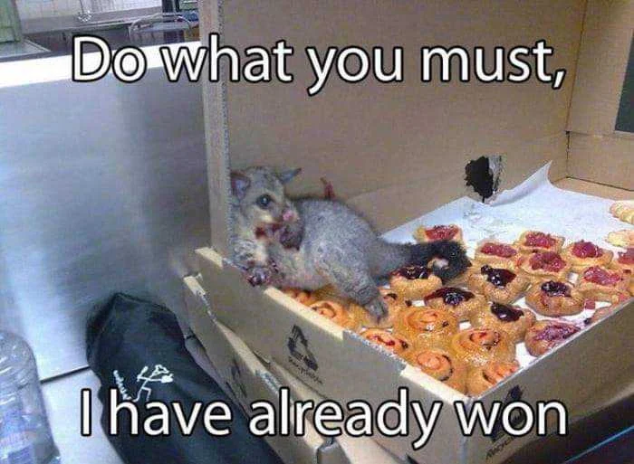 FB_IMG_1585984064054.webp