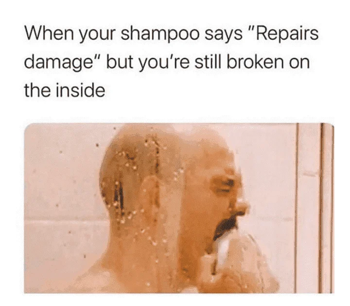 repairs damage.webp
