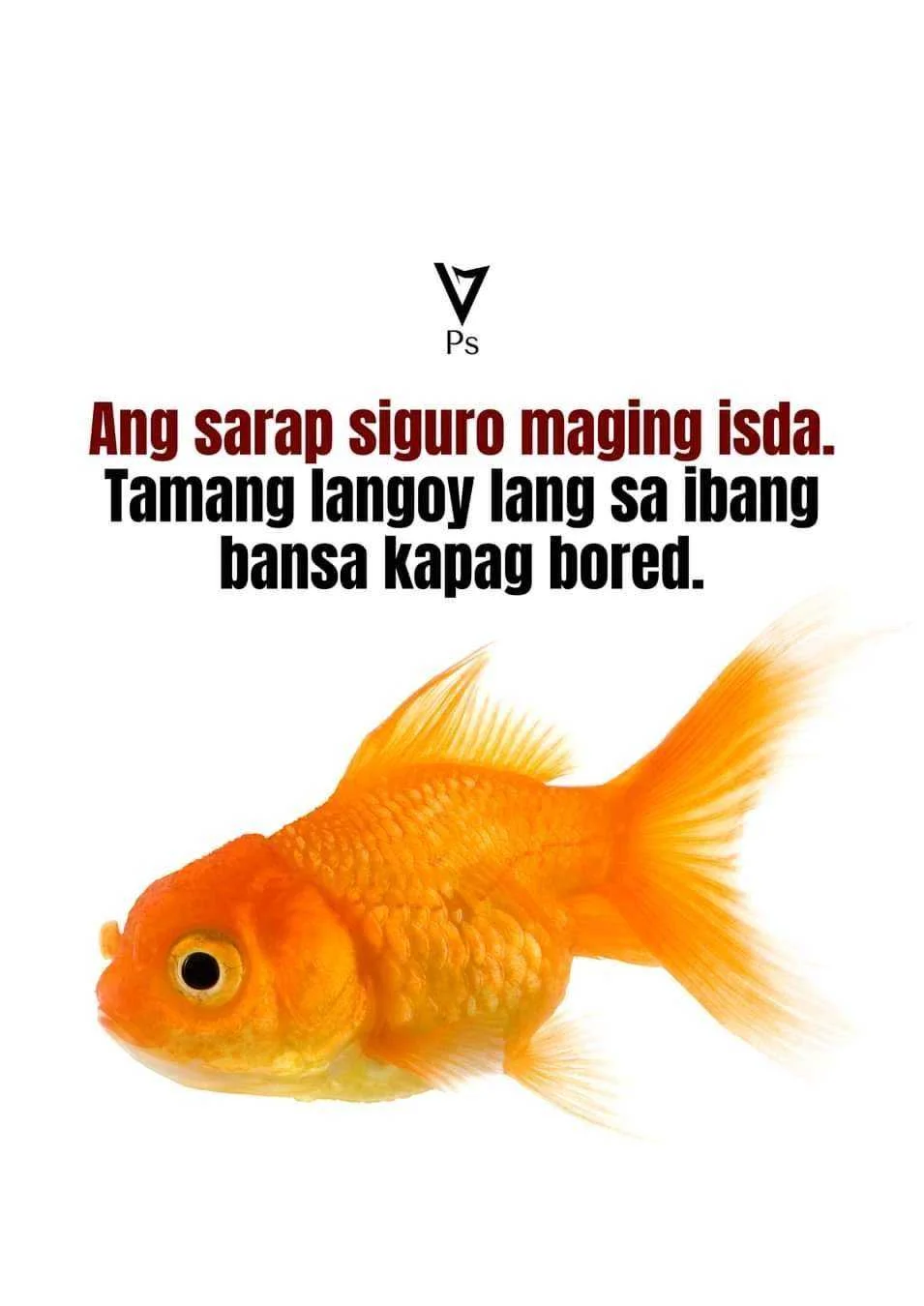 1641817052341.webp
