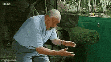 60wzoj.gif