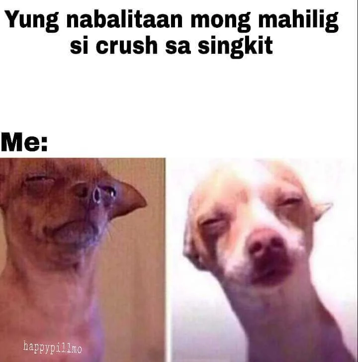 FB_IMG_1556545204170.webp
