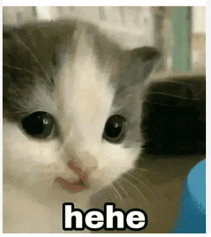 meow hehe.webp