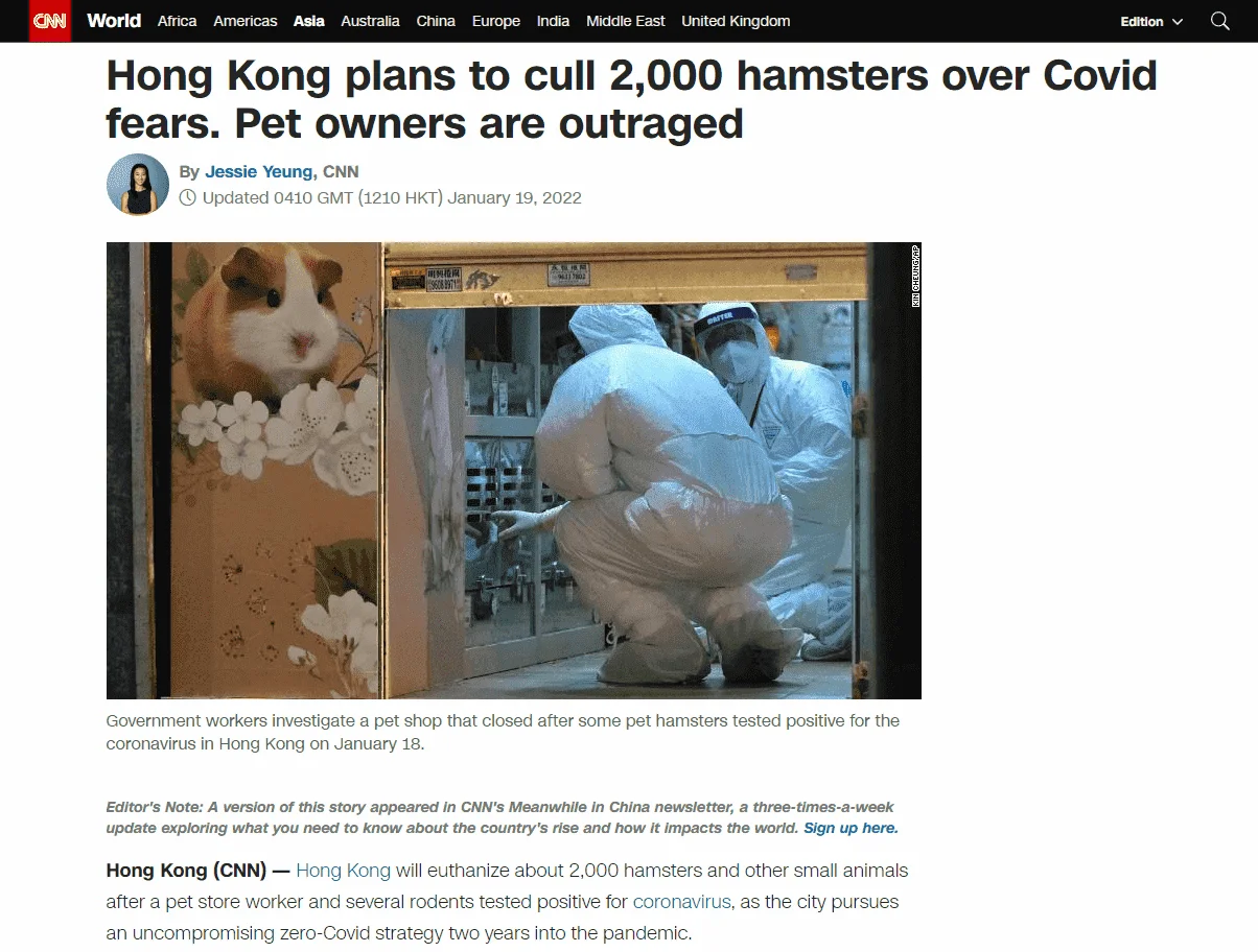 Hongkong plans to cull 2,000 hamsters over Covid fears.