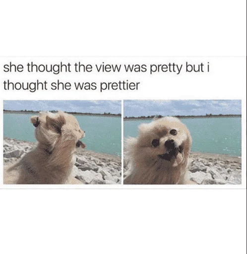 1642655919522.webp