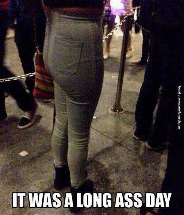 funny-pictures-a-long-ass-day.webp