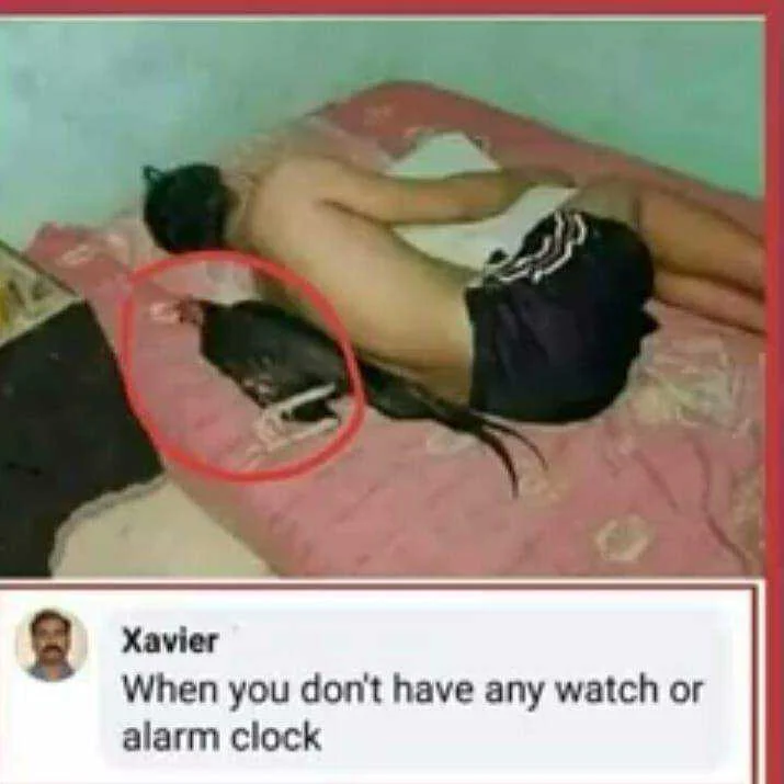 2feef42f05f6f72cf79e74ac69079883.webp
