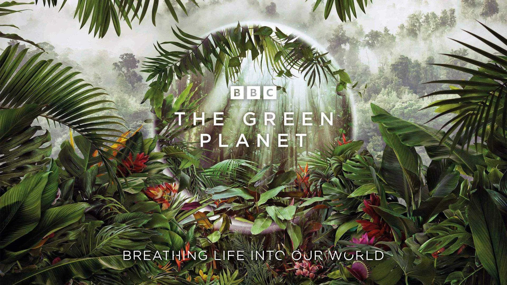 The Green Planet S01E01 (latest ep3) (2022) 720p HD WEBRip x264.mkv