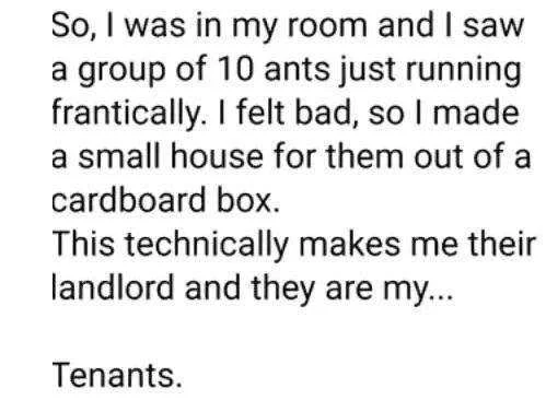 tenants.webp
