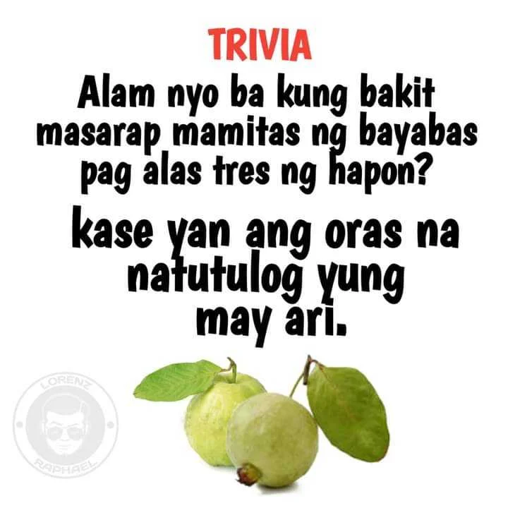 FB_IMG_1643445980033.webp