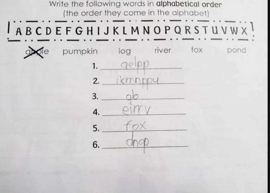 IMG_20220130_133709.webp