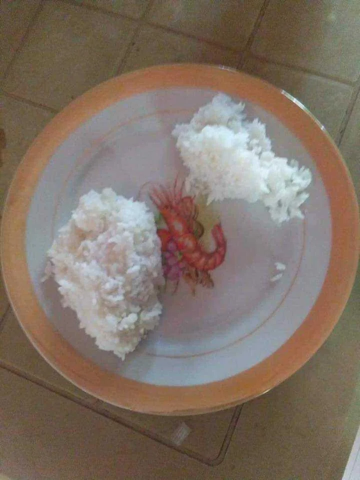 kanin.webp