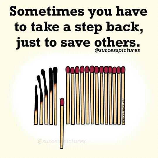 Stepback Three.webp