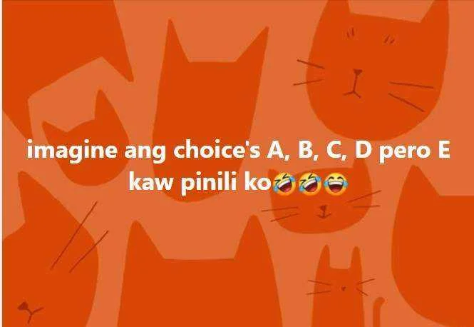 Oy ano na.webp
