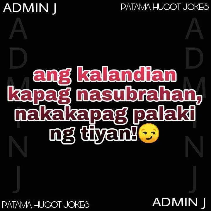 landi landi.webp