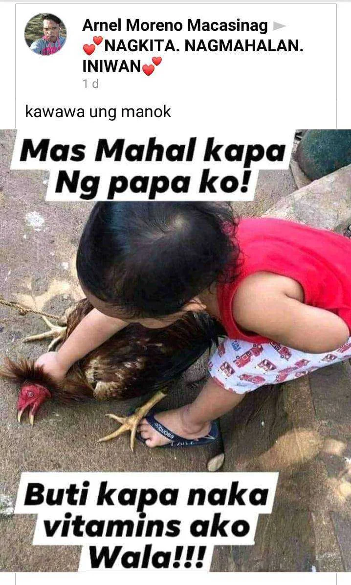 kalupit ni papa.webp