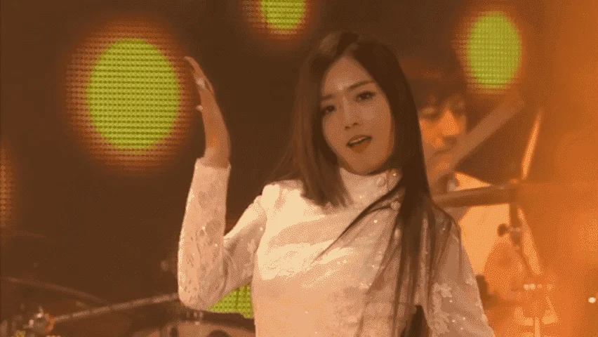 [DVD] Apink 1st Concert "PINK PARADISE" [MKV]