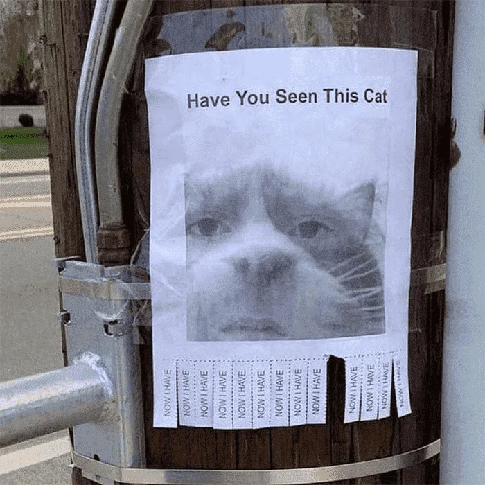 1643947254178.webp