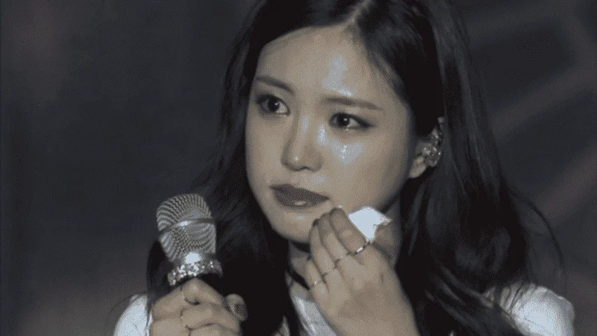 [DVD] Apink 3rd Concert "PINK PARTY" [MKV]