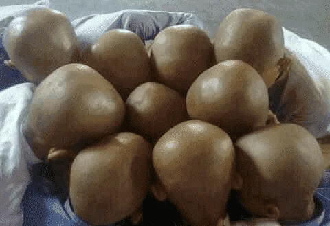 1644036108727.webp