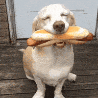 200.gif
