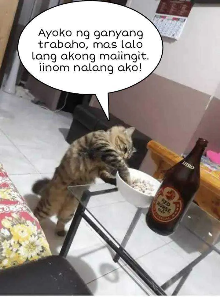 PicsArt_22-02-05_13-55-05-567.webp