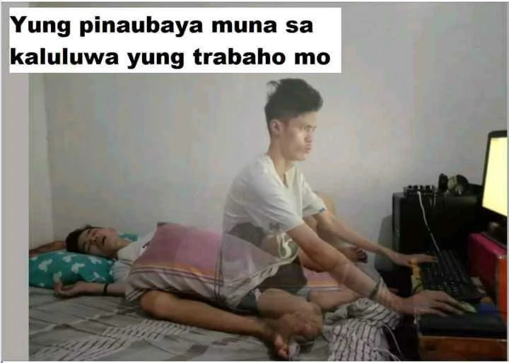 1644106483777.webp