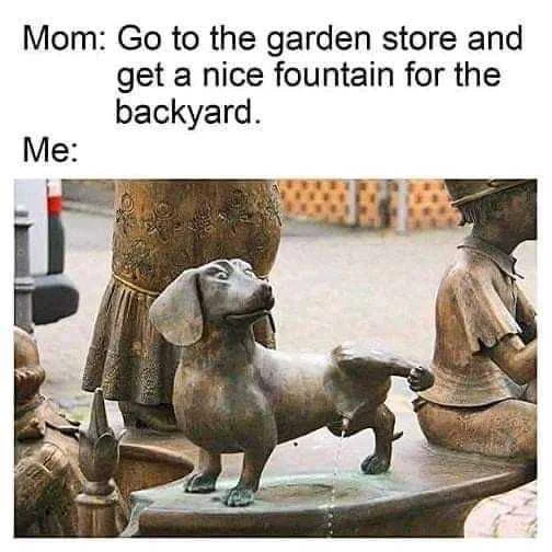 1644215226590.webp