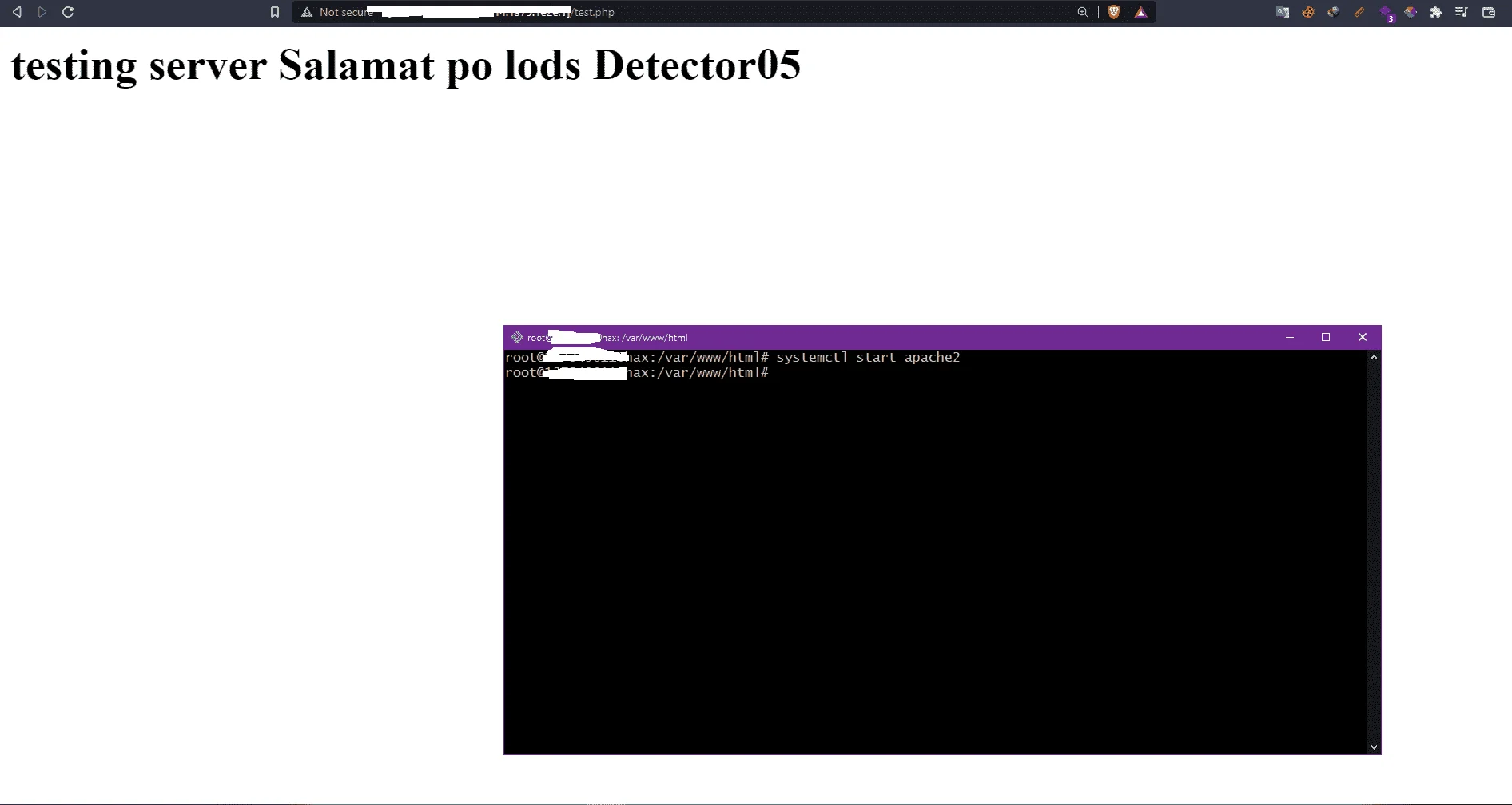 1644375615949.webp