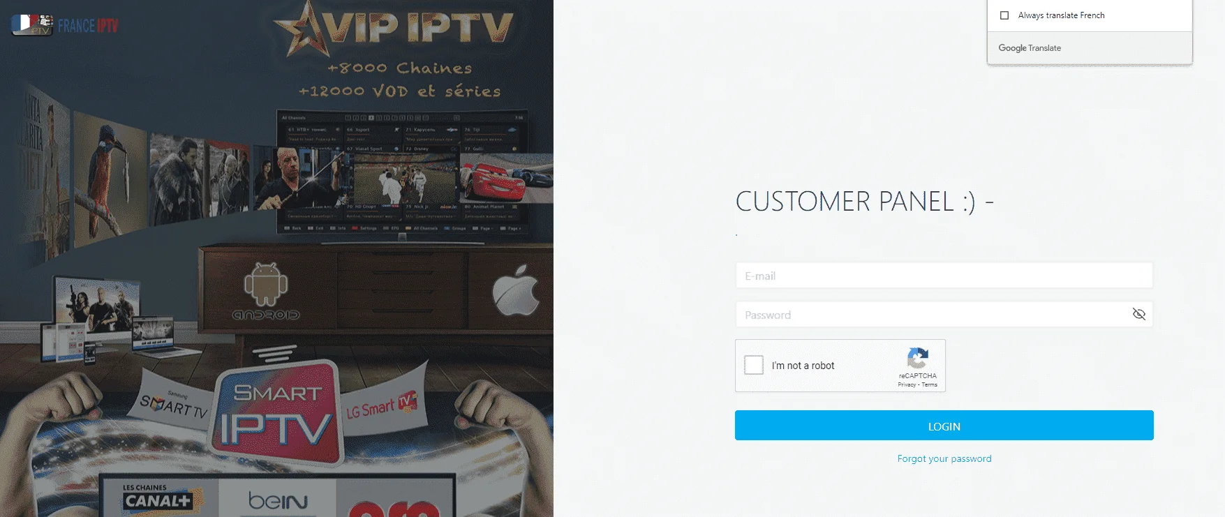 6.webp