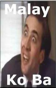 images.webp
