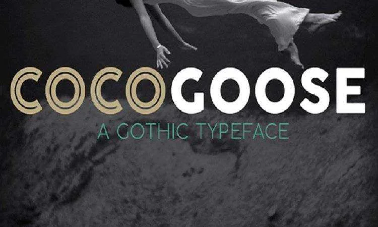 cocogoose-pro.webp
