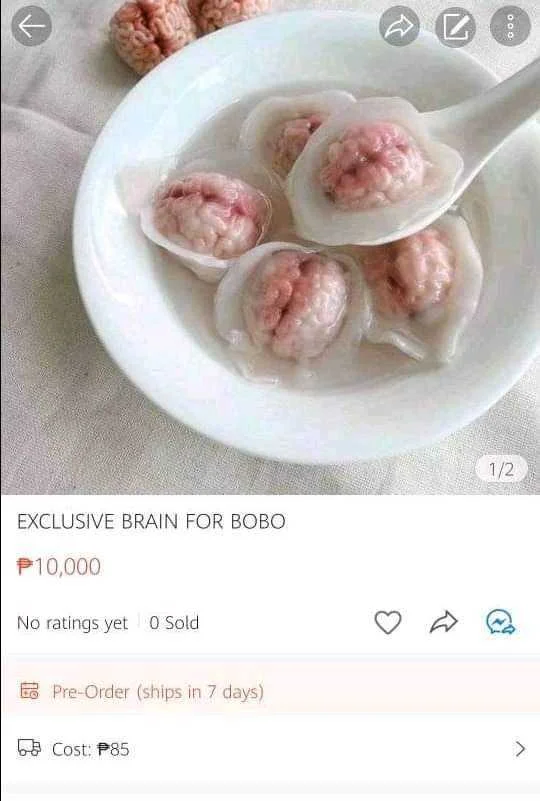 1645335053540.webp