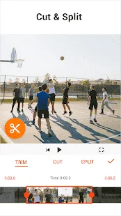 1645099735919.webp