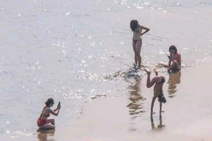 1645470379590.webp