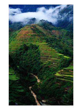 banauetalaga1.jpg