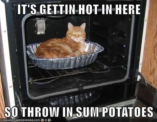 images-95.webp
