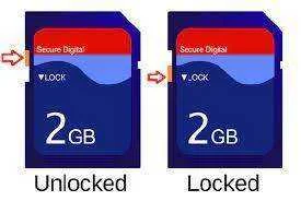 sd1.webp