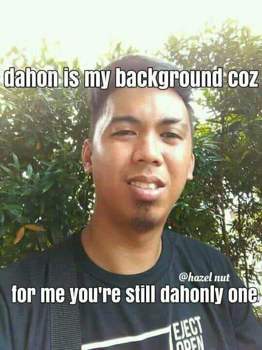 dahon.webp