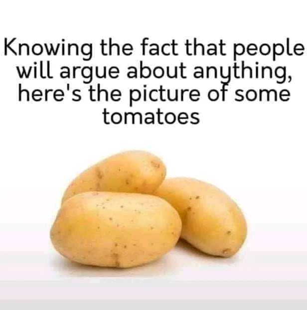1646057175235.webp