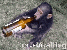 drinking-drunk.gif