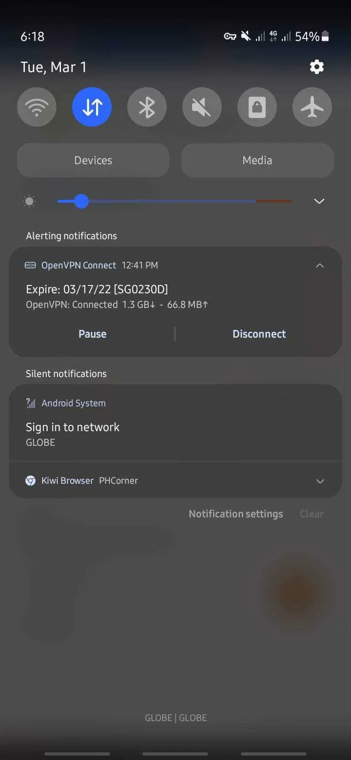 Screenshot_20220301-181805_Kiwi Browser.jpg