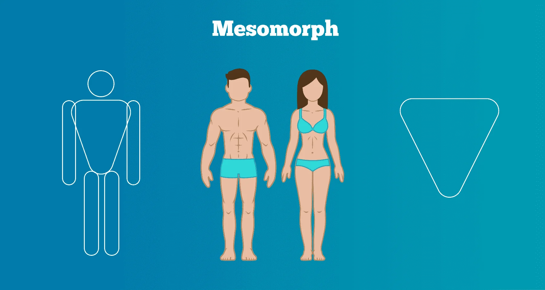 Body-Shapes_Meso_single.png
