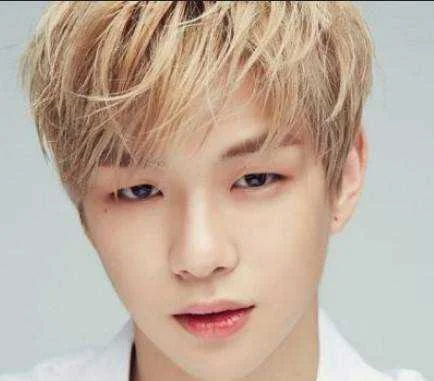 Handsome Boy.webp