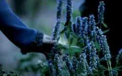 images-142.jpeg