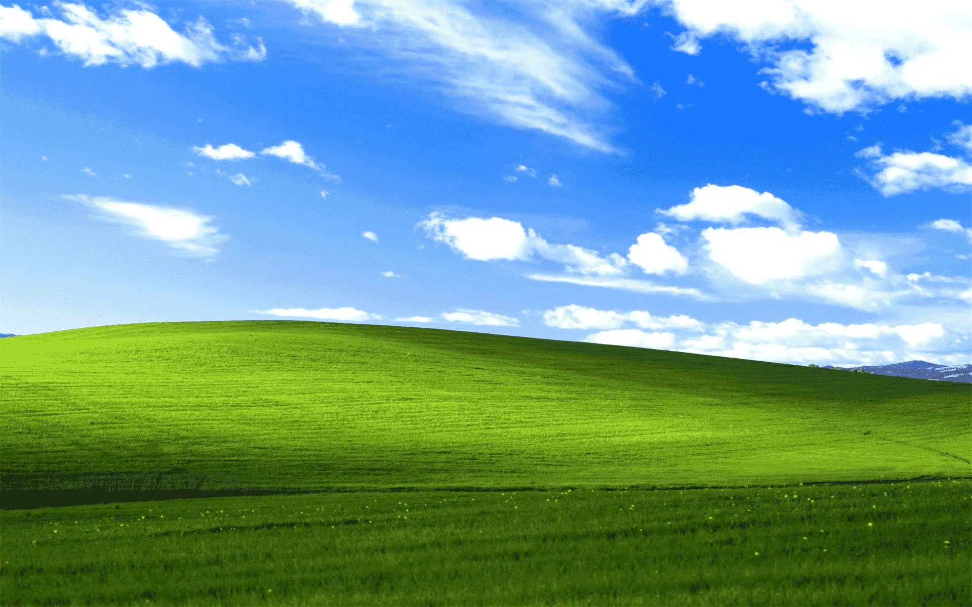 1646445649407.webp