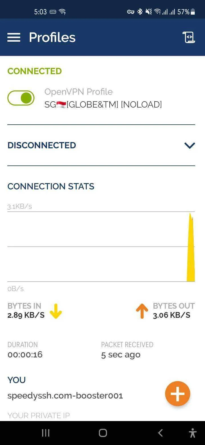 Screenshot_20220305-170327_OpenVPN Connect.jpg